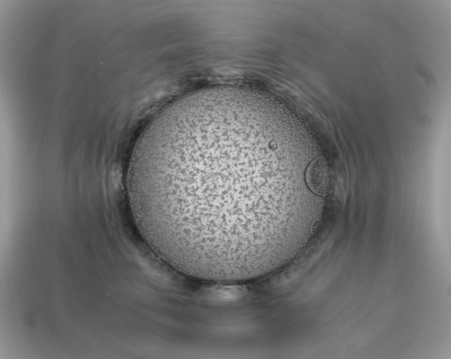 X0000114600711200911091317