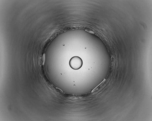 X0000114600712200911091317