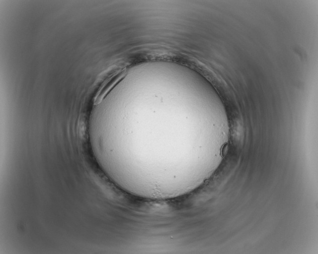 X0000114600715200911091317