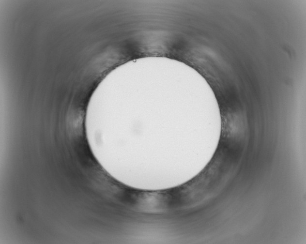 X0000114600717200911091317