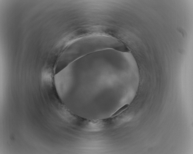 X0000114600720200911091317