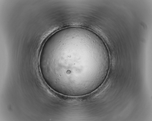 X0000114600721200911091316