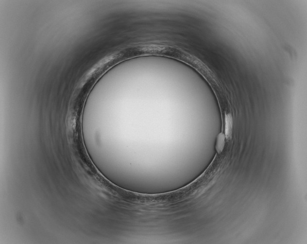 X0000114600723200911091316