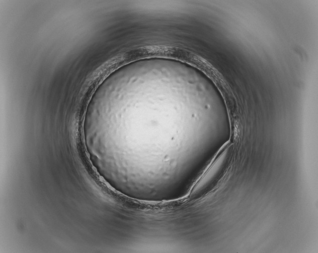 X0000114600725200911091316