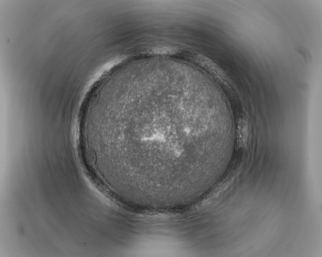 X0000114600726200911091316