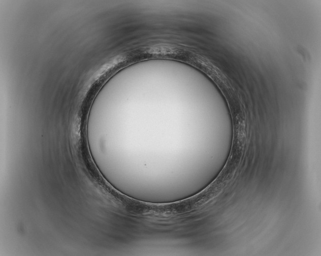 X0000114600727200911091317