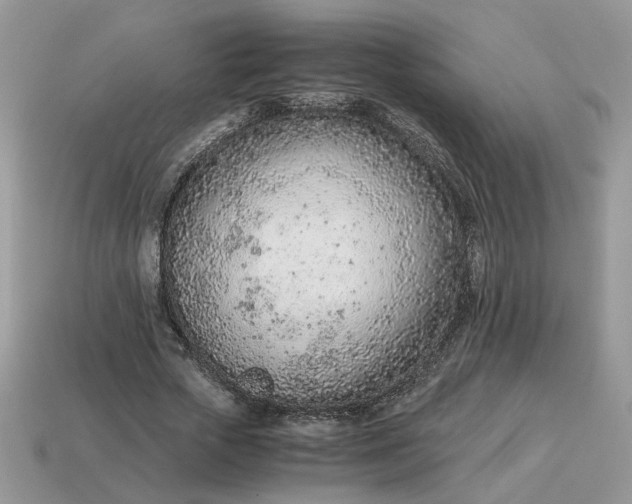 X0000114600729200911091317