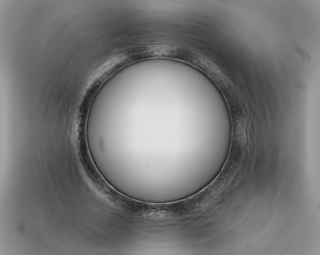 X0000114600730200911091317