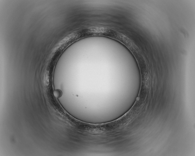 X0000114600731200911091317