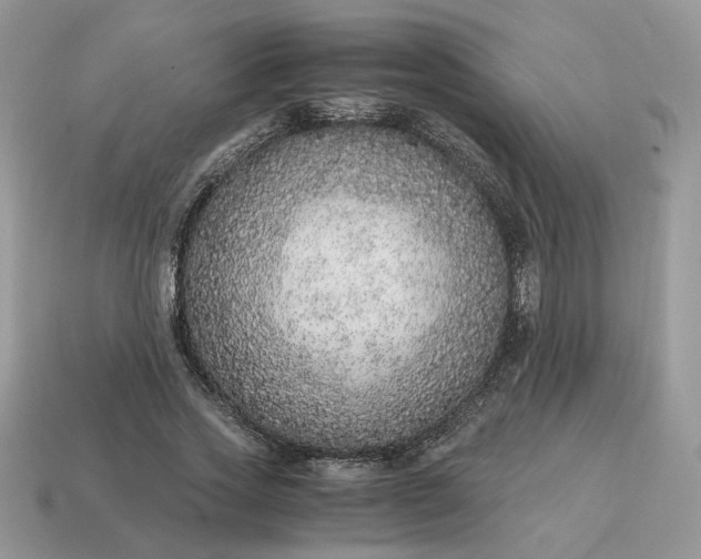 X0000114600733200911091317