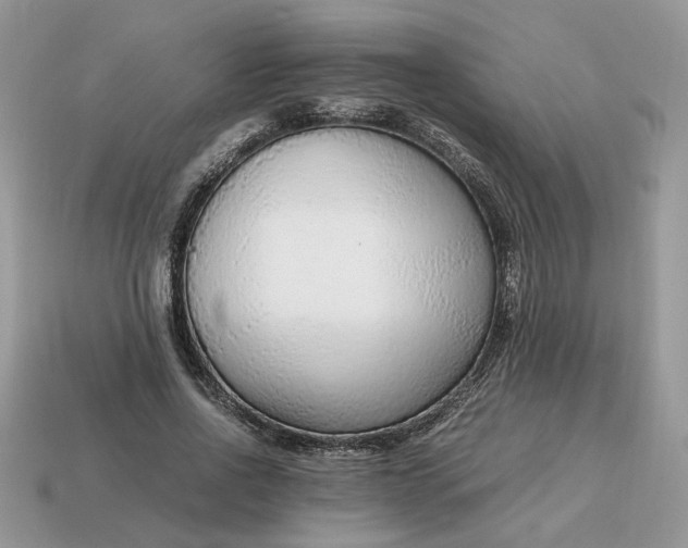 X0000114600734200911091317