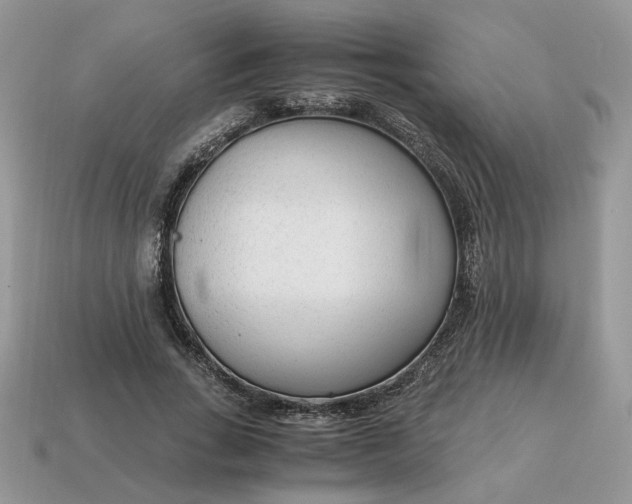 X0000114600735200911091317