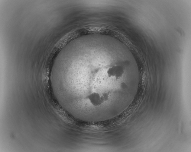 X0000114600737200911091317