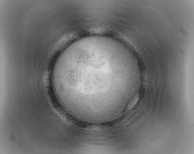 X0000114600738200911091317