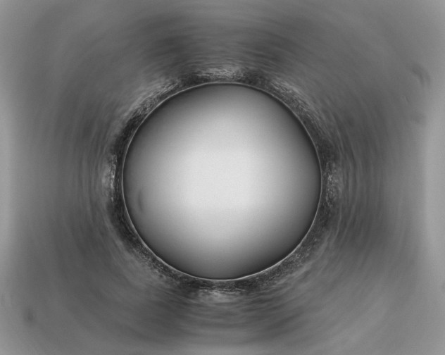 X0000114600739200911091317