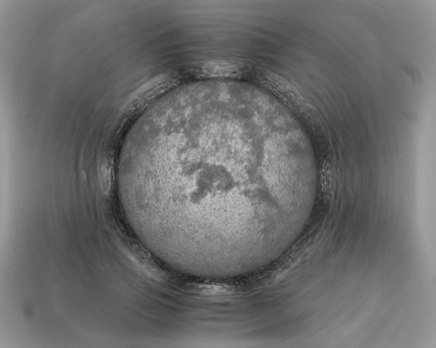 X0000114600741200911091317