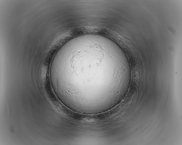 X0000114600742200911091317