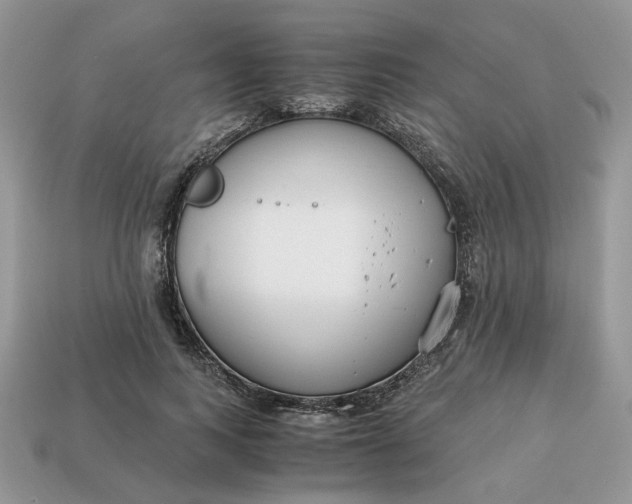 X0000114600743200911091317