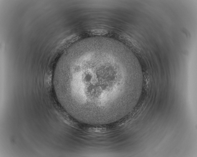 X0000114600745200911091317