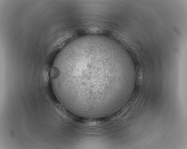 X0000114600746200911091317