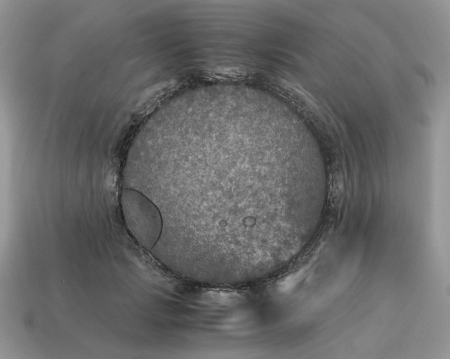 X0000114600749200911091317