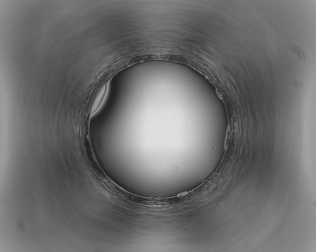 X0000114600750200911091317