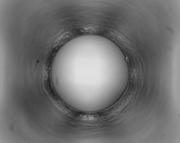 X0000114600751200911091317