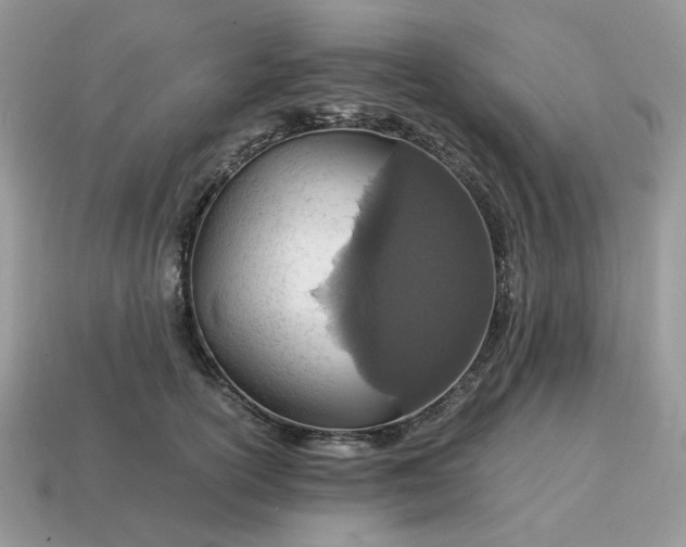 X0000114600754200911091317