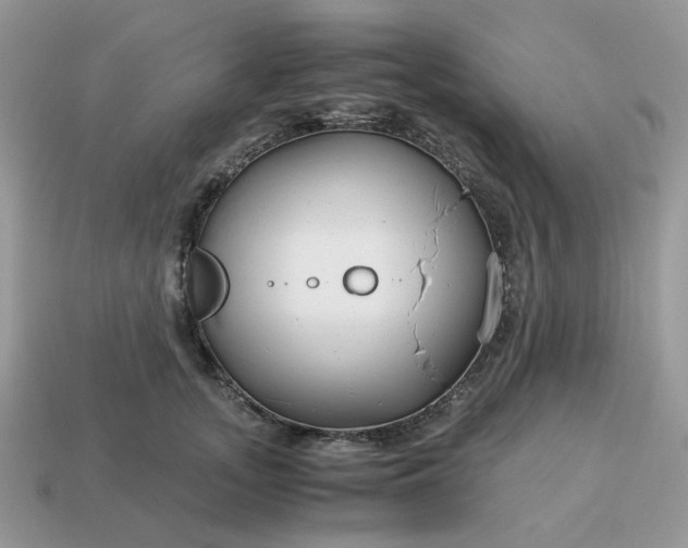 X0000114600755200911091317