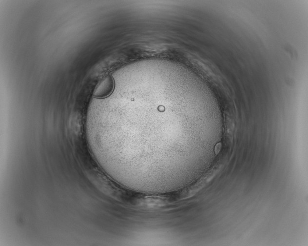 X0000114600758200911091317