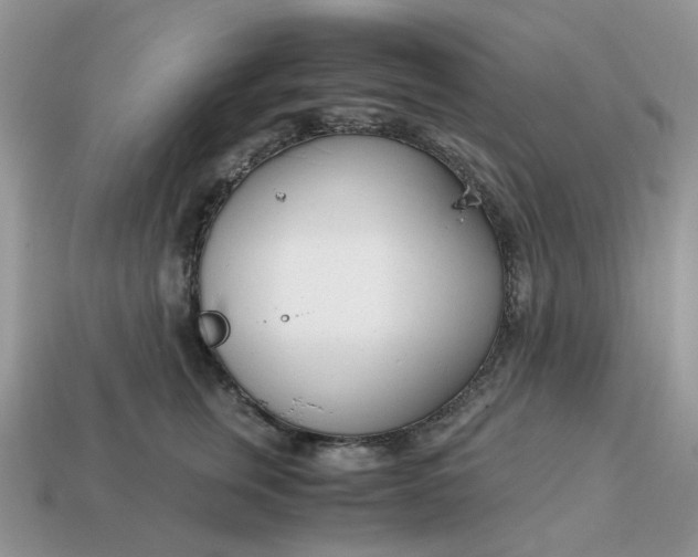 X0000114600759200911091317