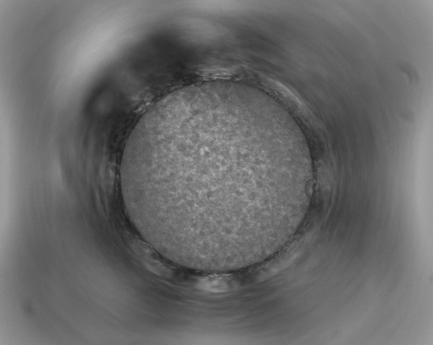 X0000114600761200911091317