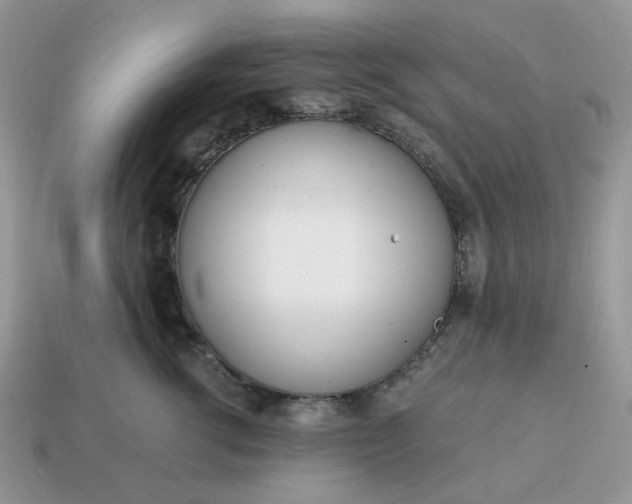 X0000114600762200911091317