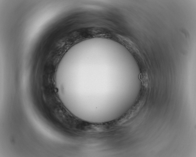 X0000114600763200911091317