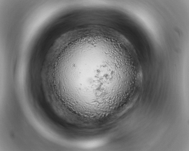 X0000114600765200911091317