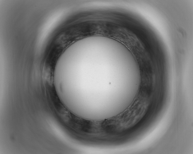 X0000114600766200911091317