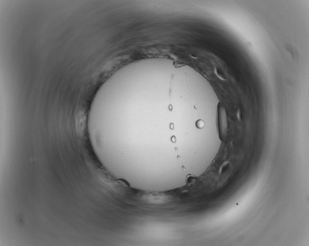 X0000114600767200911091317