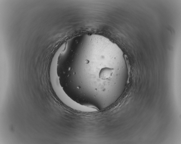 X0000114600769200911091316