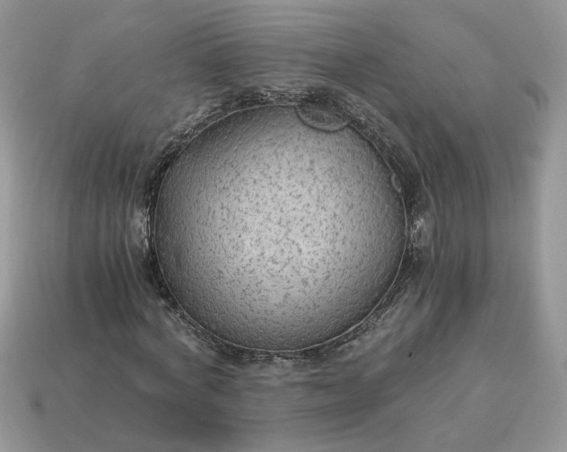 X0000114600772200911091316