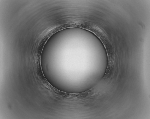 X0000114600773200911091316