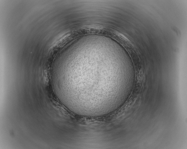 X0000114600774200911091316