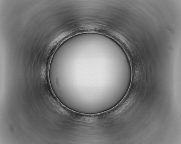 X0000114600778200911091316