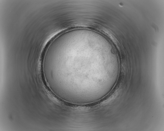 X0000114600779200911091316