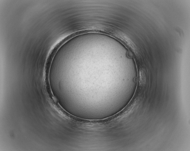 X0000114600780200911091316