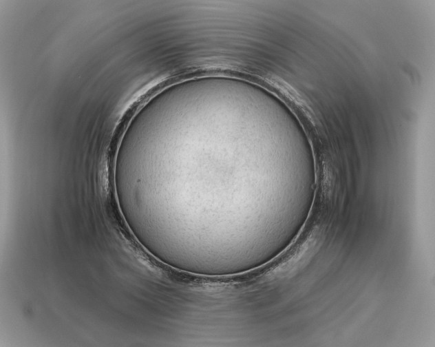 X0000114600782200911091316