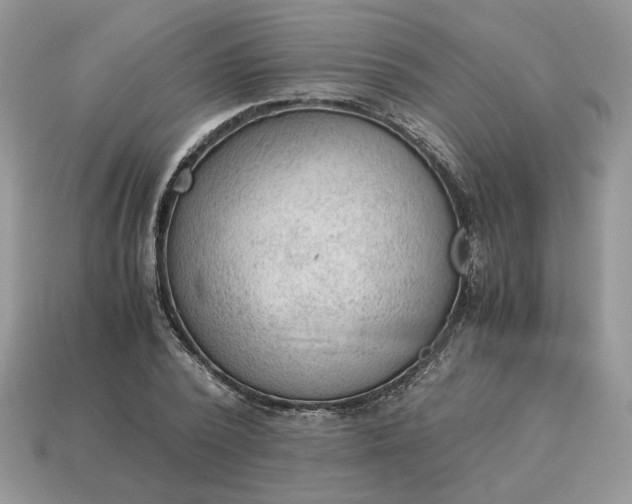 X0000114600784200911091316