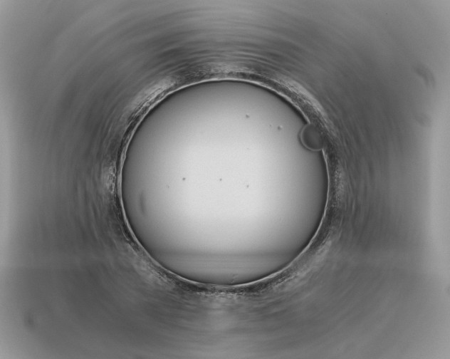 X0000114600785200911091316