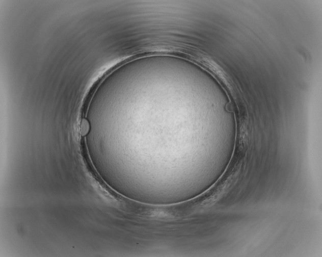 X0000114600787200911091316