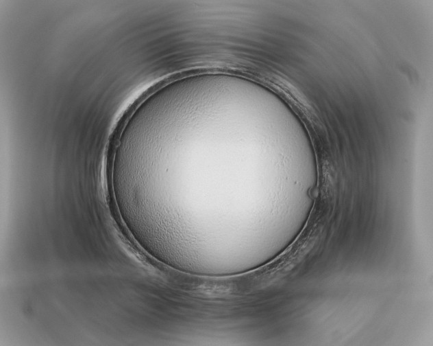 X0000114600788200911091316