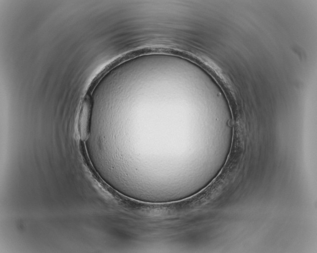 X0000114600791200911091316